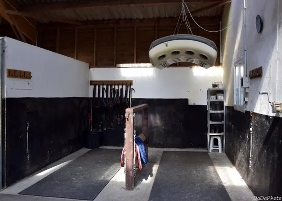 Aire de pansage avec solarium