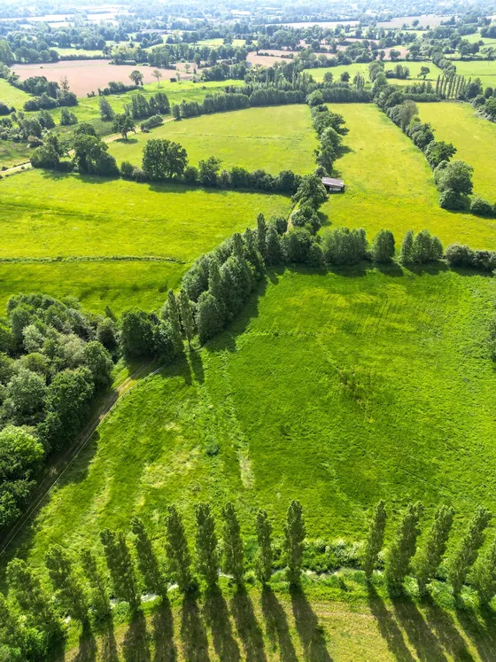 Prairies dans la campagne normande