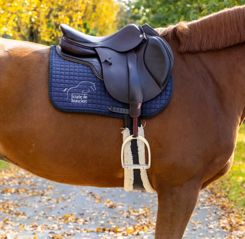 Vente de chevaux
